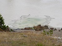 Yellowstone Mud Volcano Area (6).JPG